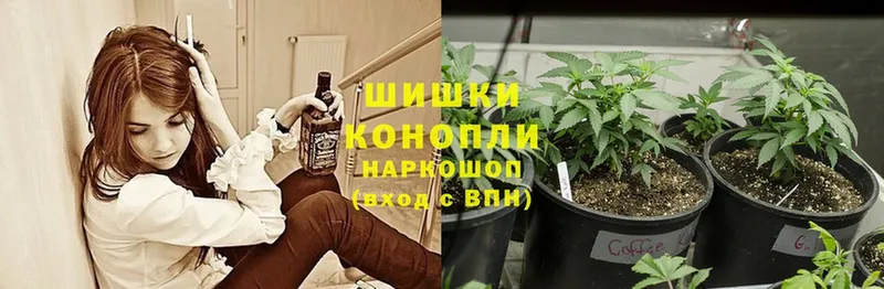 наркошоп  Беломорск  блэк спрут как войти  Бошки Шишки LSD WEED 